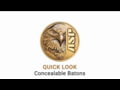 ASP Quick Look - Concealable Batons