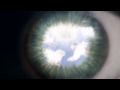 Wiley X Enhanced Polarization Sportsman Video