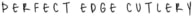 Perfect Edge 2023 Logo