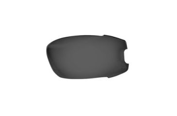 Image of Bobster Resolve Replacement Anti-Fog Smoked Lenses PT-RES-1