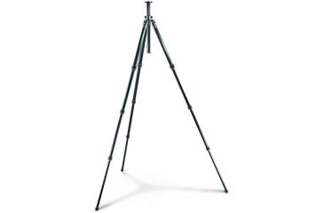 Image of Gitzo Series 2 Basalt Long Tripod - 4 Section G-lock GT2941L