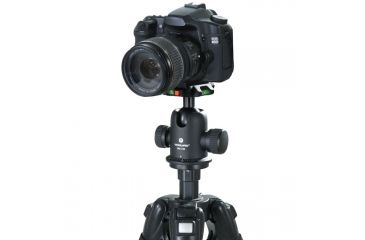 Image of Vanguard SBH-250 Ball Head