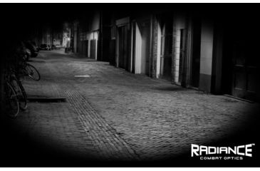 Image of Viridian CTL Compact Tactical Light, CR2, 100-400 Lumens, Black, CTL