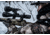 NightSnipe NS750 Extreme Dimmable Hunting Light Kit, Class-2 , White, Red, Green Beam, C2A-750D-RGW-8841