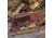 ALLEN 8517 NEW CASTLE BUTTSTOCK CARTRIDGE CARRIER