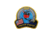 Aspgear International Training Team Patches, 58176