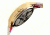 Boum BM1903 Bijou Womens Watch, Gold BOUBM1903
