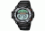 Casio Outdoor Twin Sensor Digital Watch -Altim/Baro/Thermo -100m Water Resistan - Men's, Black, One Size, SGW300H-1AVCF