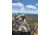 Col Mountain Tech Hands Free Binocular Mount