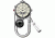 Dakota Watches Angler II, Champagne Ani-Digi EL Dial, Titanium Finish Case 3865-8