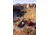 Garmin InReach Messenger Plus Communicator, Red/Black, 010-02887-00