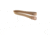 High Speed Gear Duty Belt 2 In, Tan, Small, 31DB00TN
