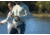 HUK Performance Fishing Airweight Long Sleeve Crew - Mens