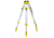 Leica Geosystems CTP 104D Dome Head Aluminum Tripod, aluminum/black 790226