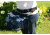 Porta Brace Harness Belt - belt only AH-2B