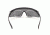 Revision Sawfly US Military Eyewear System, Large 4-0076-9700