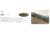 Revision Stingerhawk Eyewear Replacement Lens, Cano, Large, 4-0152-9544