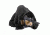 Rothco Sniper Veil, Black, 5730-Black