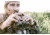SightMark Solitude XD LRF Binoculars, 10x42, SM22009