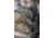 Streamlight Tlr-7 Gun Light, Atf, 69421