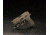Streamlight TLR-7 Weapon Light, Gun Light, 69420