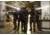 SureFire M640DFT-PRO Turbo Series 18350/123A High Candela 6-Volt Dual Fuel Scout Pro LED Weapon Light, 123A, 550 Lumens, Black, M640DFT-BK-PRO