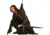 United Cutlery LOTR Strider Ranger Scabbard, UC1366
