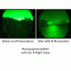 Factory Demo Steiner Laser Devices MK3 500 Lumen LED Tactical Weapon Light w/ 600mW IR,White LED 9071
