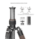 Leofoto LX-224CT/XB-32Q Reversible Travel Tripod w/ Ball Head Set, Black, LX-224CT+XB-32Q