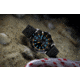 Luminox Pacific Diver Automatic 3100 Series - XS3101