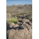SightMark Solitude 10x42LRF Binoculars, Black, SM22006