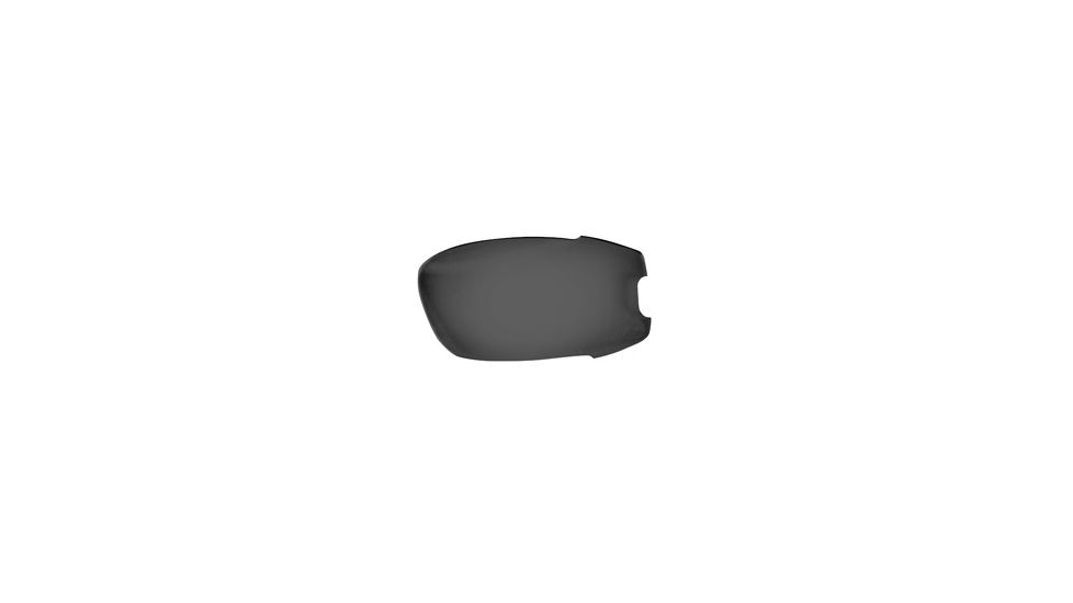 Bobster Resolve Replacement Anti-Fog Smoked Lenses PT-RES-1