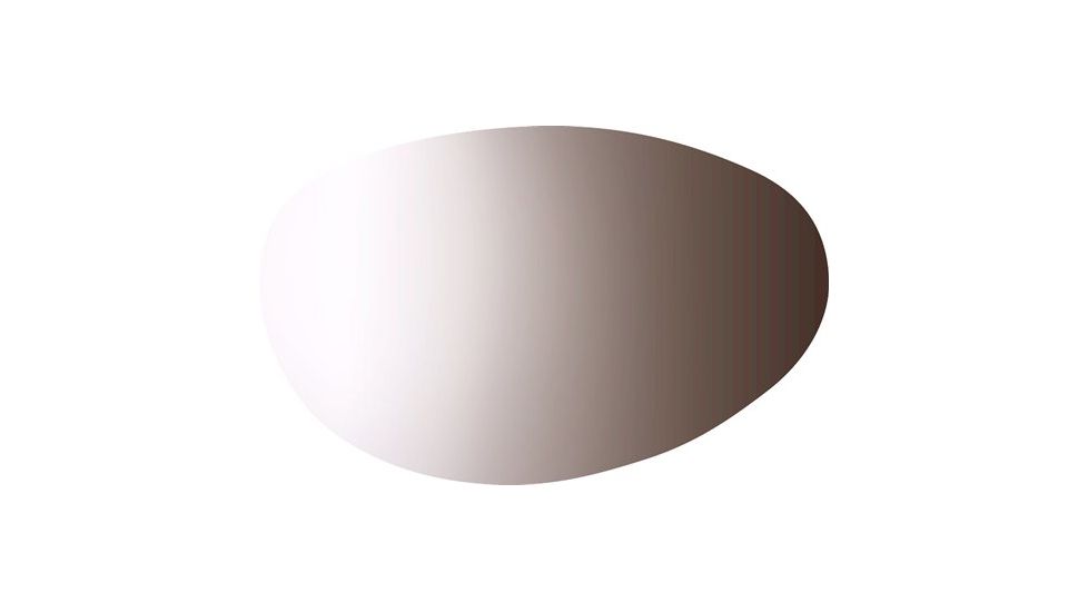 Bolle Draft Photo Clear Grey Lens 50297