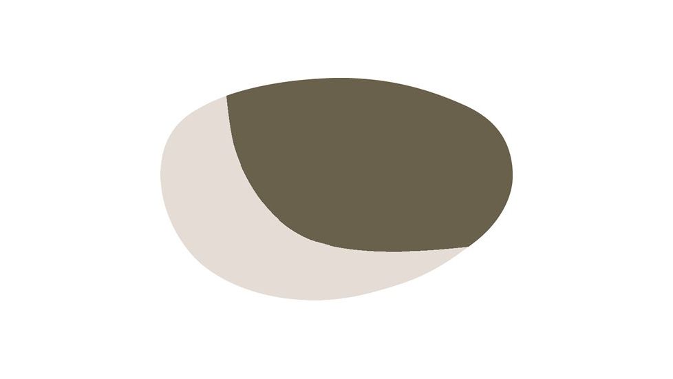 Bolle Chase TNS Ice Lens 50291