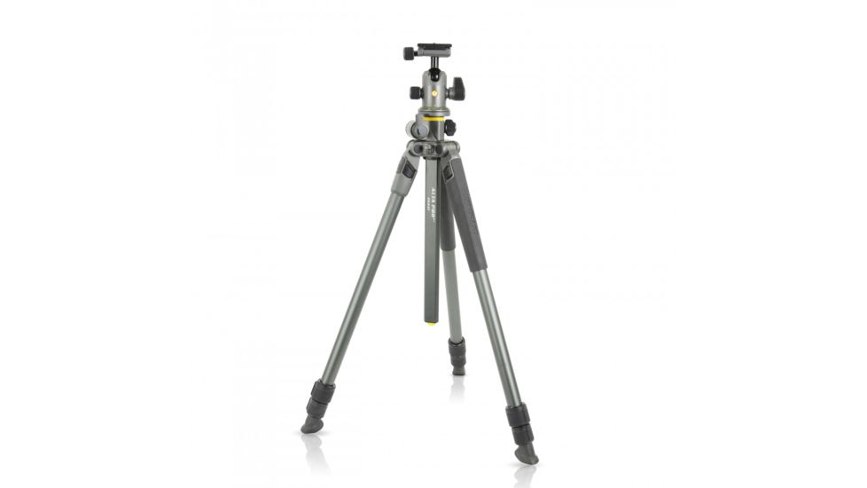 Vanguard Alta Pro 2+ 263AB 100 Aluminum Tripod with Ball Head and Multi-Angle Center Column, Gray, Alta Pro 2+ 263AB 100