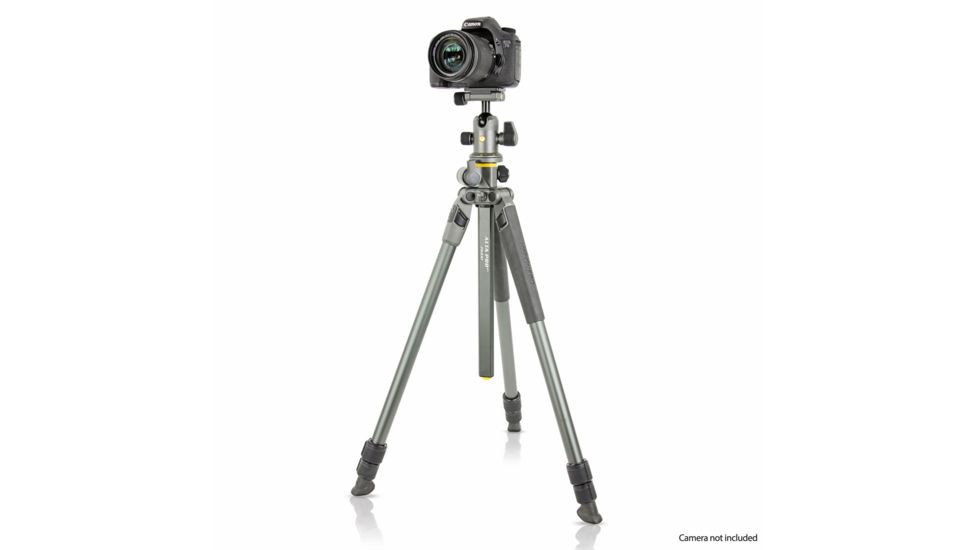 Vanguard Alta Pro 2+ 263AB 100 Aluminum Tripod with Ball Head and Multi-Angle Center Column, Gray, Alta Pro 2+ 263AB 100