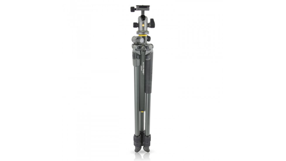Vanguard Alta Pro 2+ 263AB 100 Aluminum Tripod with Ball Head and Multi-Angle Center Column, Gray, Alta Pro 2+ 263AB 100