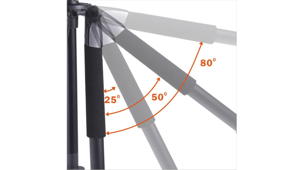 Vanguard Alta Pro 254CT Carbon Fiber Tripod
