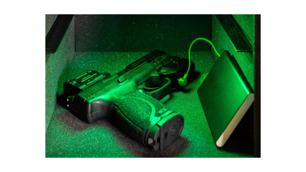 Viridian Weapon Technologies C5L Micro Universal Green Laser and 550 Lumen Tactical Light w/ Rechargeable Battery, INSTANT-ON, and SafeCharge Power Bank, FDE, 930-0056