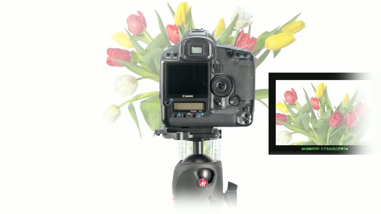 opplanet manfrotto l bracket vid
